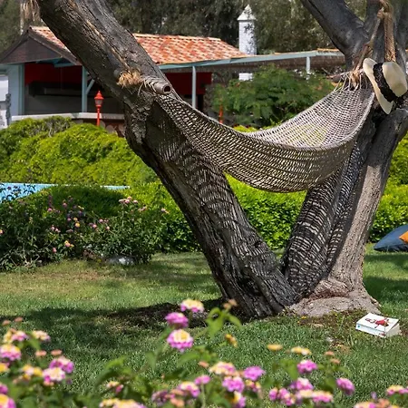 Resort Marti La Perla - Adult Only+16