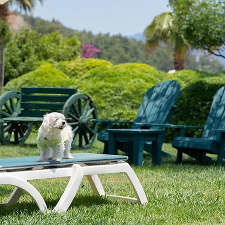 Marti La Perla - Adult Only+16 马尔马里斯