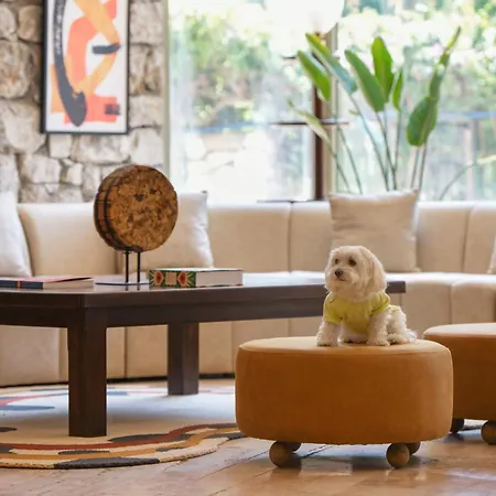 Marti La Perla - Adult Only+16 4* Marmaris