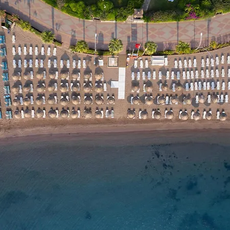 Marti La Perla - Adult Only+16