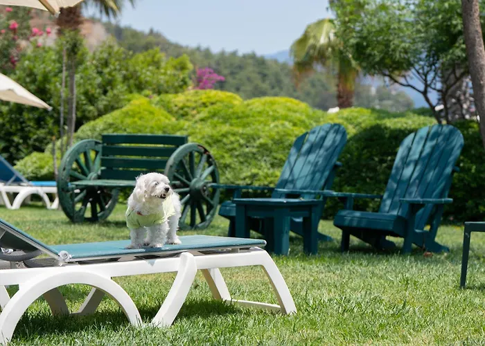 Marti La Perla - Adult Only+16 Мармарис