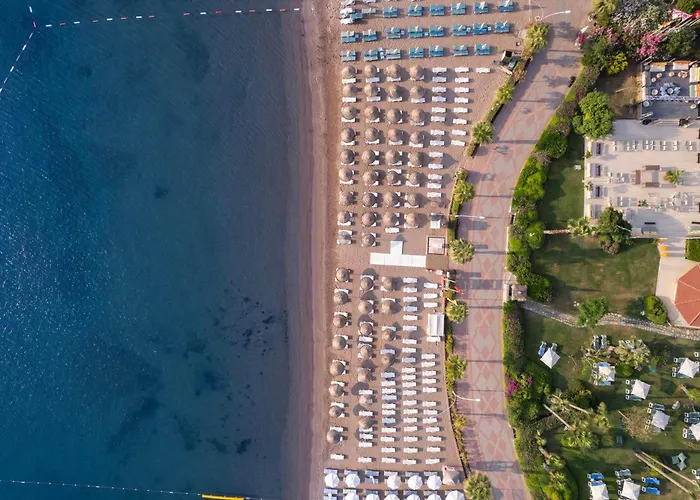 Marti La Perla - Adult Only+16