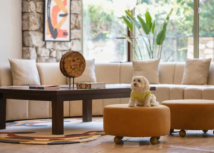 Marti La Perla - Adult Only+16 4* Marmaris