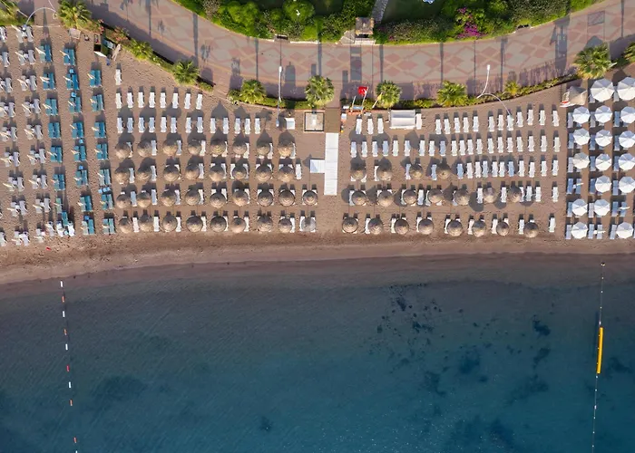 Marti La Perla - Adult Only+16